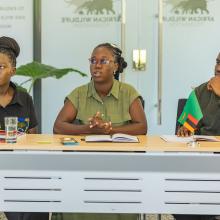 Some of the fellows from the AWF Wall Youth Leadership and Management Fellows 2025 cohort during one of the training sessions