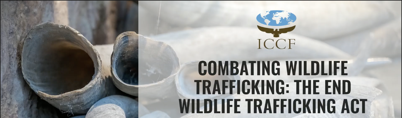 ICCF Combating Wildlife Trafficking