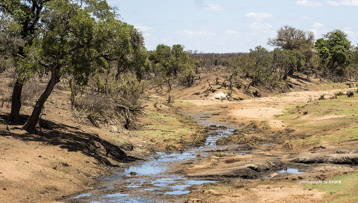 Africa and Climate Change