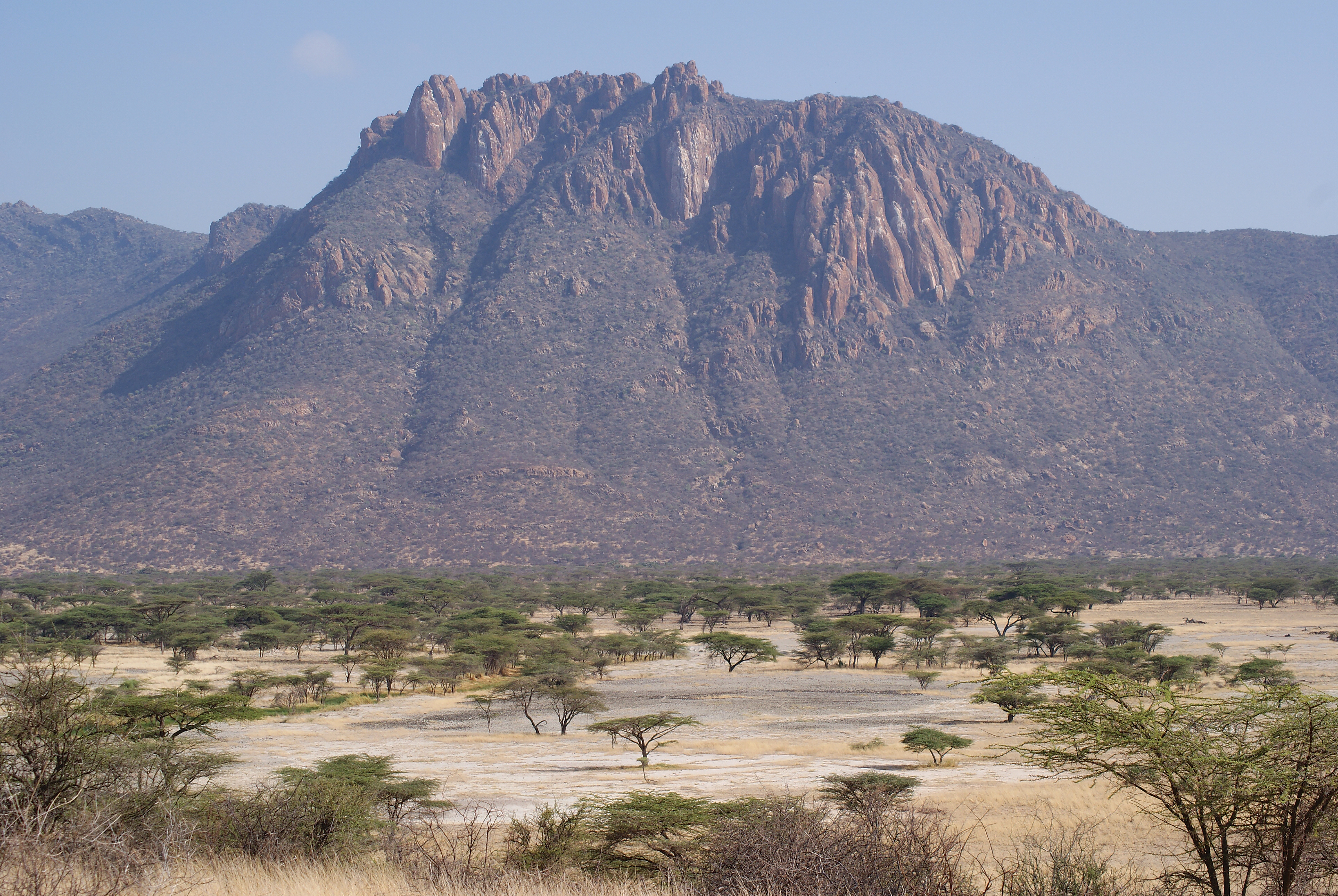 Kenya landscape
