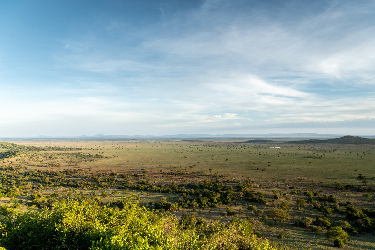 Southeast Lowveld landscape