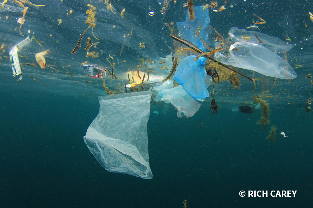 Plastic litters in an ocean.