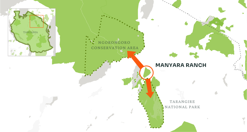 A map showing wildlife corridors between Ngorogoro Conservation Area, Tarangire National Park, and Manyara.