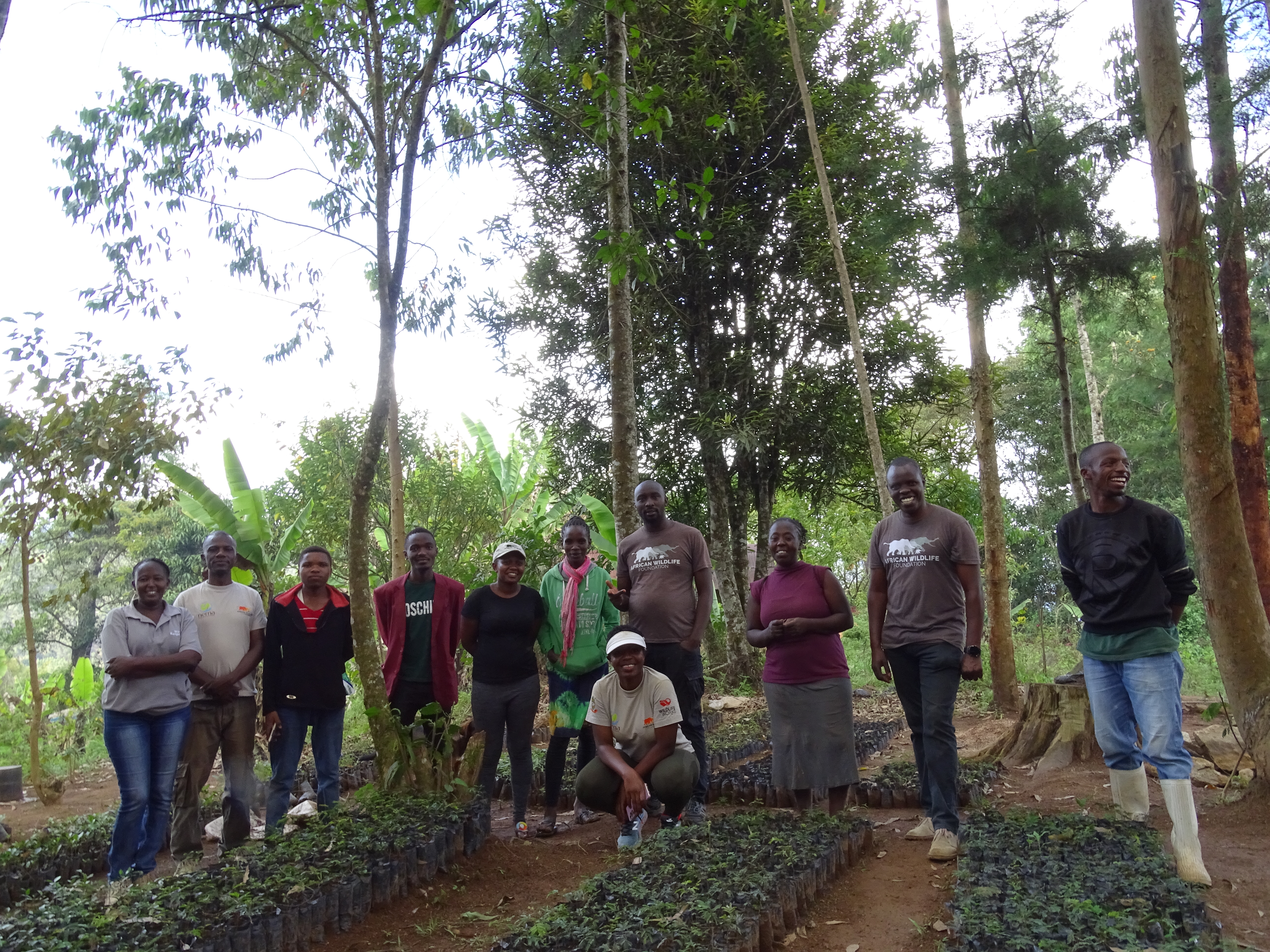 Members of the Mwaroko Youth Group and AWF Tsavo landscape staff at the tree nursery 