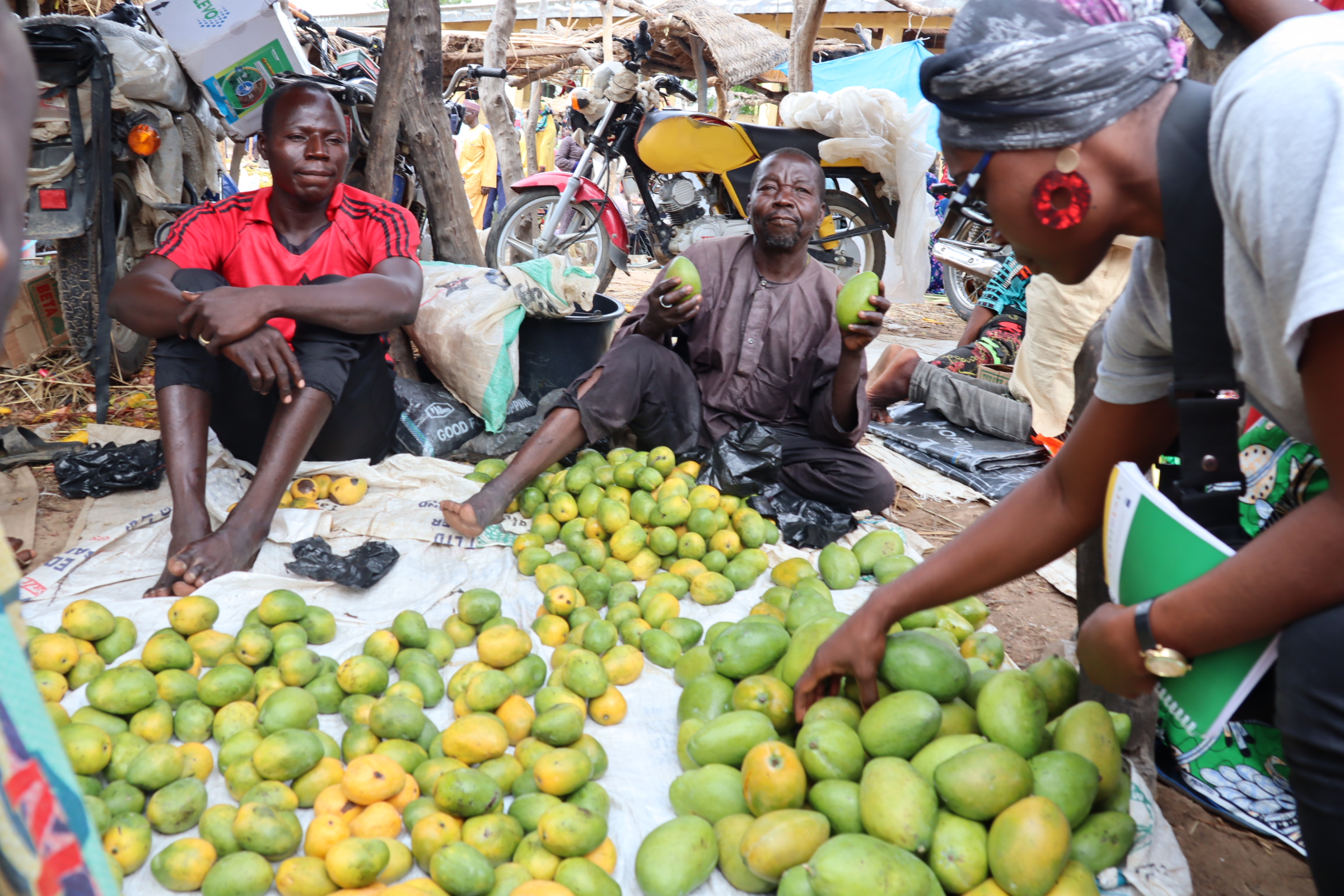 Communities members in Faro with fruits from their reforestation trees