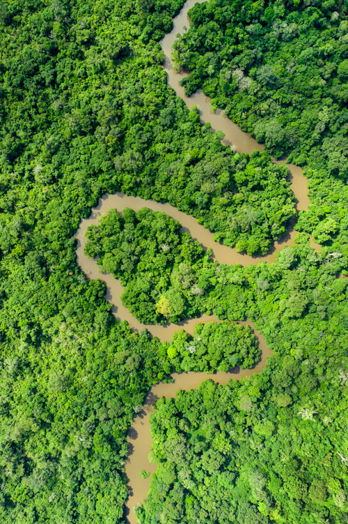 Congo Basin river