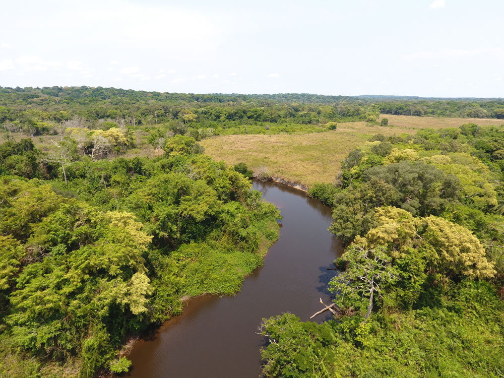 Bili-Uele Landscape