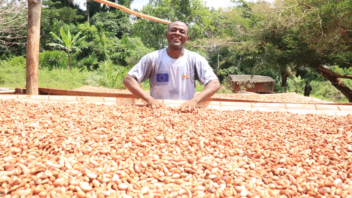 Sustainable Cocoa in Dja