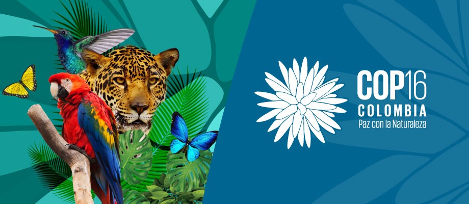 COP16 wide banner logo with wildlife