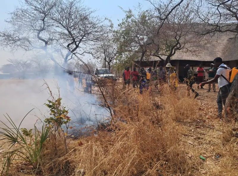 Wildfire Management Training