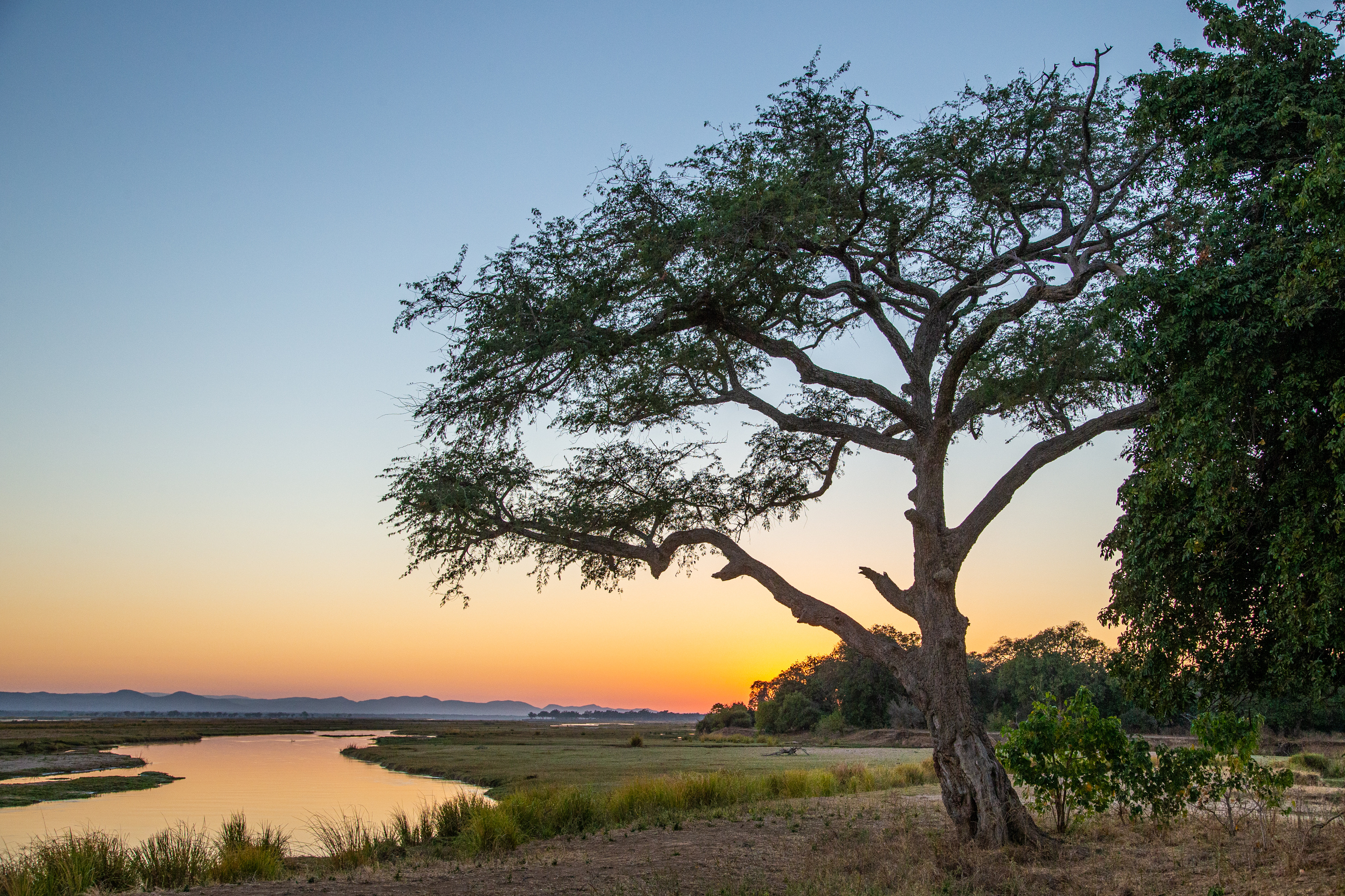 Sunrise over the Zambezi River