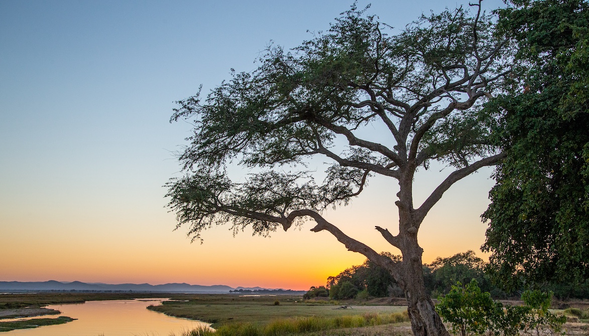 Sunrise over the Zambezi River