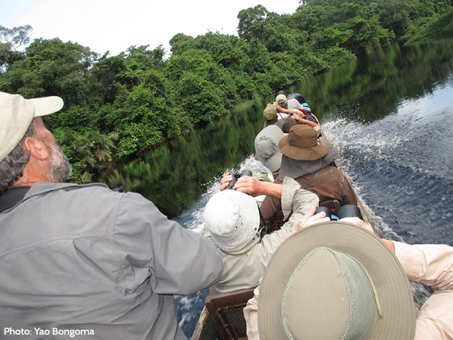 Gaze | African Wildlife Foundation