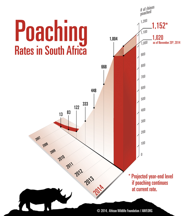 1,020 Rhinos Poached in South Africa Since January | African Wildlife ...