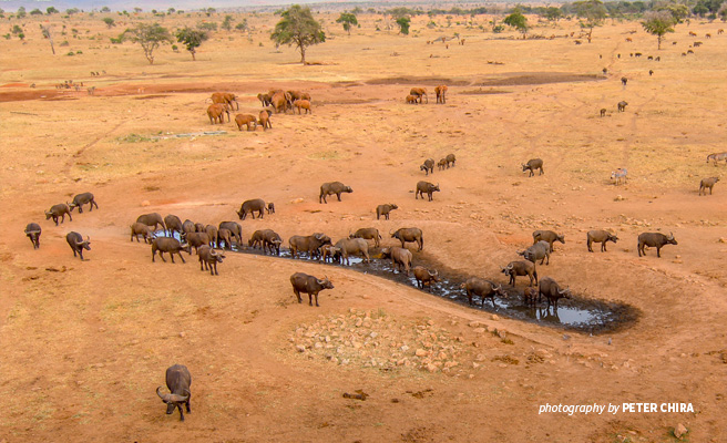 Communities In Kenya And Tanzania Unite To Save Wildlife | African ...