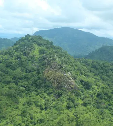 Kilombero landscape