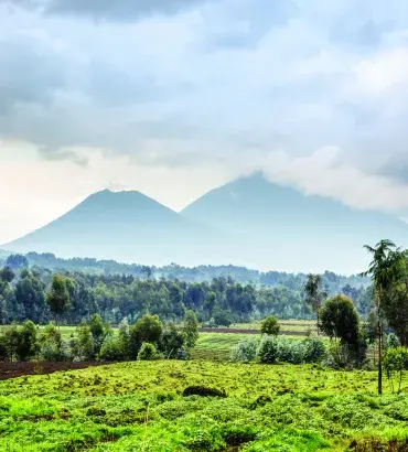 Rwanda landscape