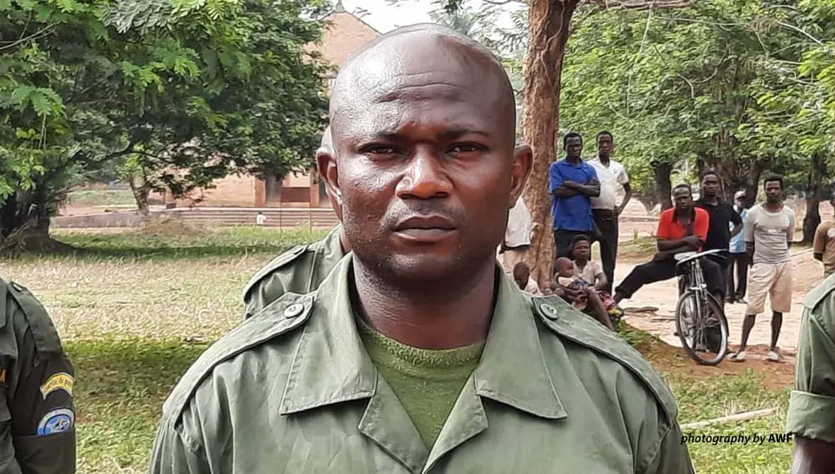 Unsung Heroes: Eco-guards Monitoring DRC’s Biodiversity | African ...