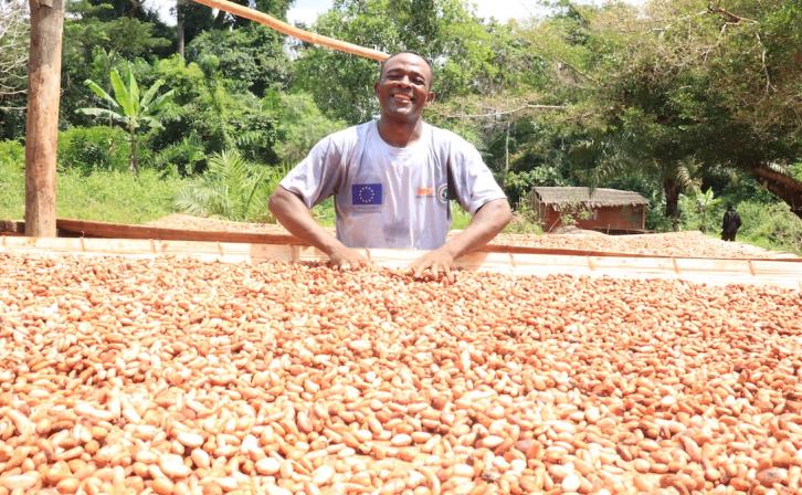 Sustainable Cocoa in Dja