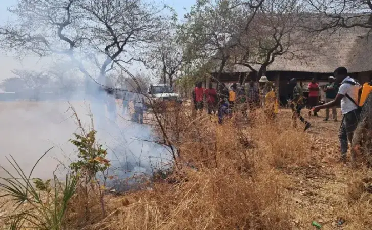 Wildfire Management Training