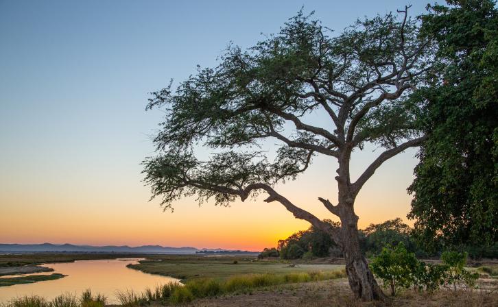 Sunrise over the Zambezi River