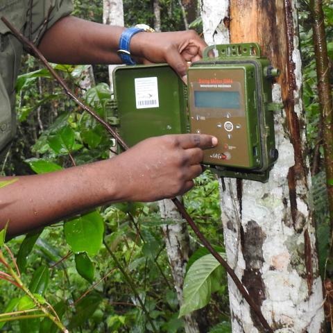 wildlife monitoring equipment