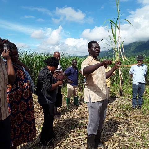 community farm