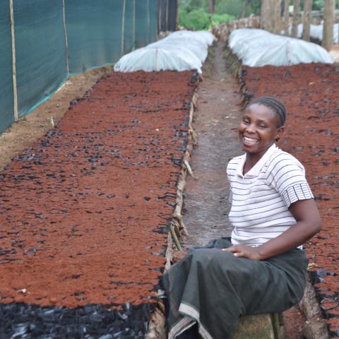 community farm