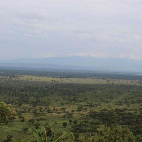 Uganda landscape