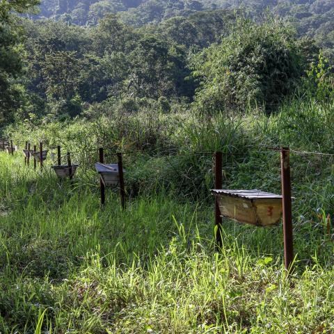 BeehiveFence_Human-ElephantConflict_Tanzania-2