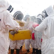 Beekeeping training in Tsavo