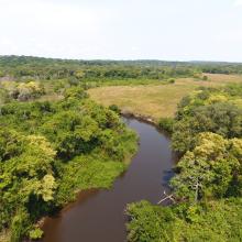 Bili Uele Forest Landscape