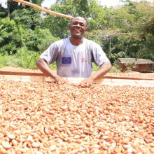 Sustainable Cocoa in Dja