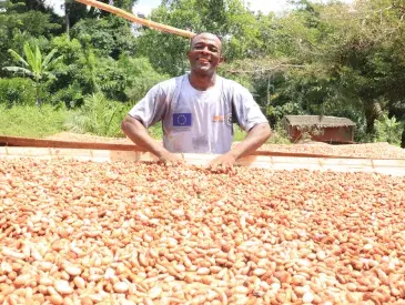 Sustainable Cocoa in Dja