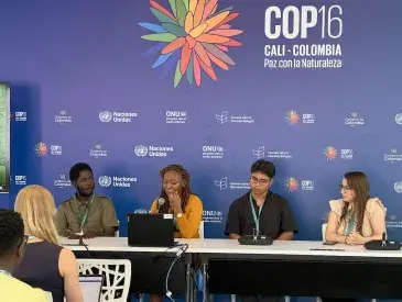 COP16