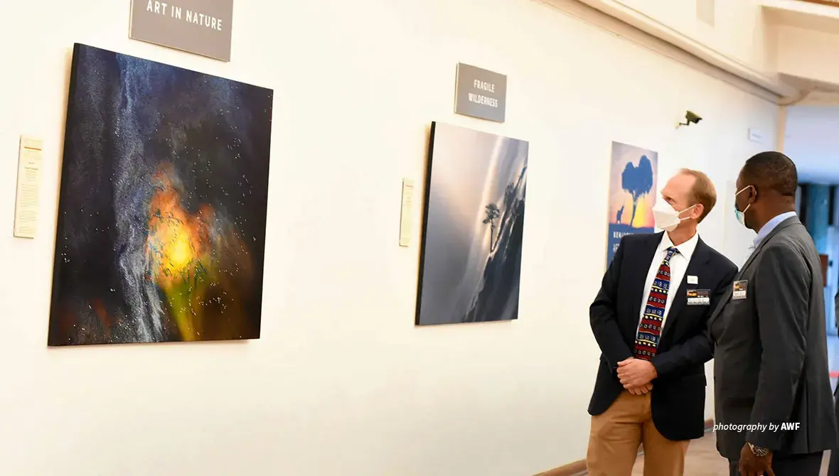 Mkapa Awards photo exhibit at Four Arts showcases wildlife of Africa